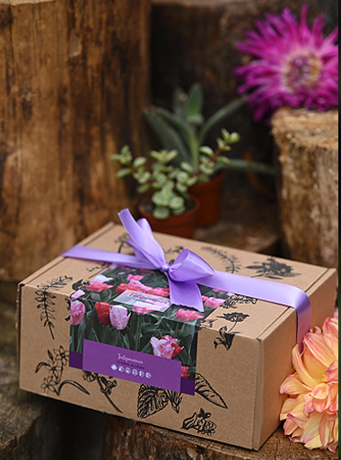 Caja regalo Tulipanes